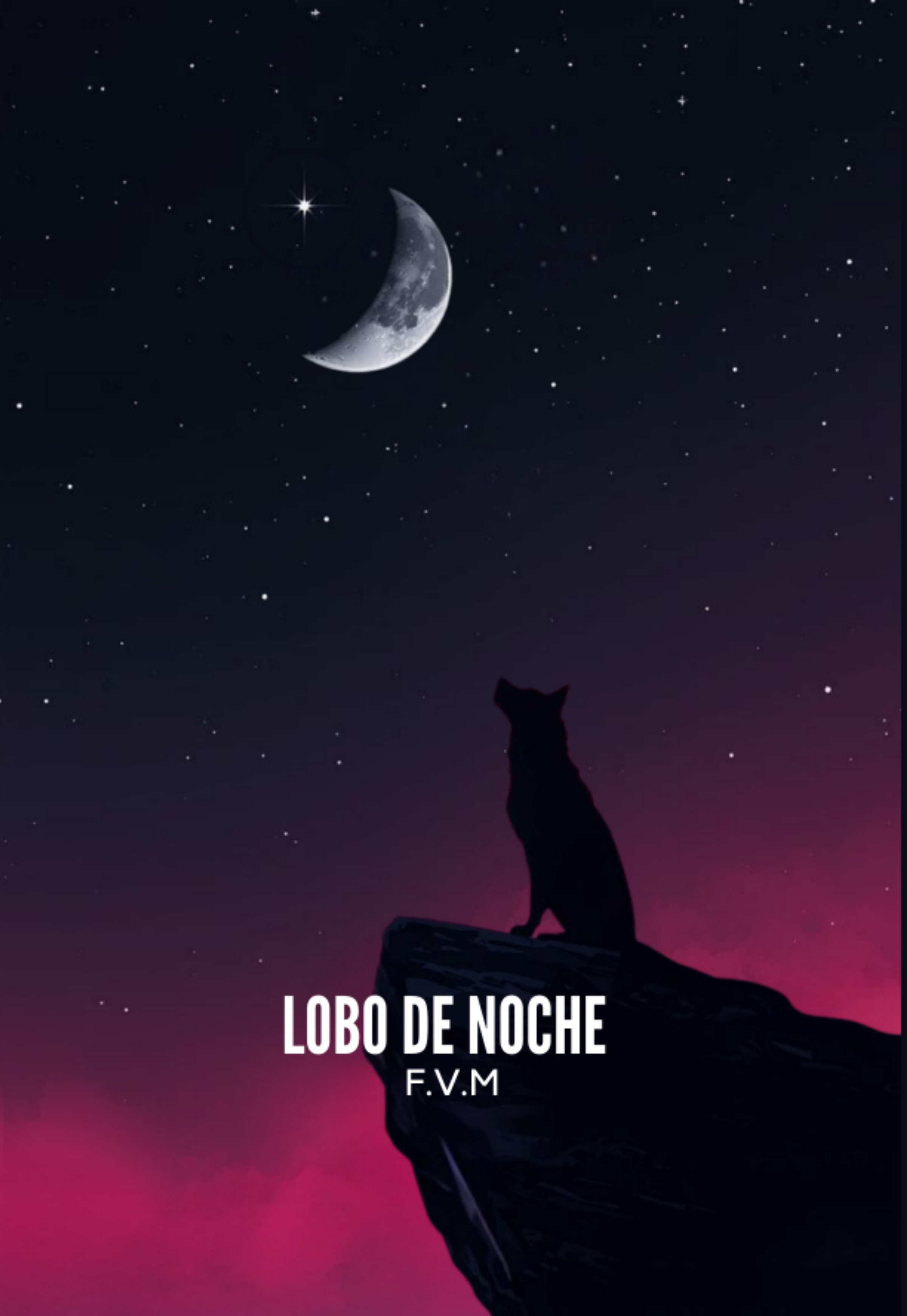 Libro editado por Maldita Poesía