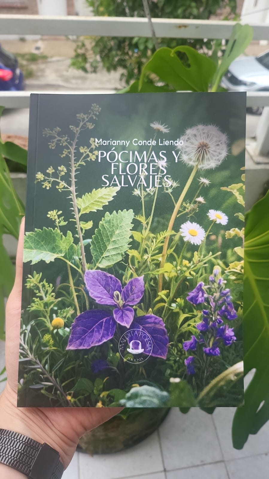 Ejemplar de Pócimas y flores salvajes, de Marianny Conde, en mano