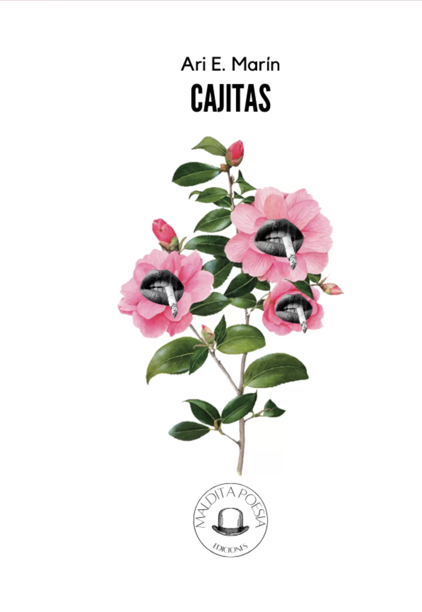 Cajitas