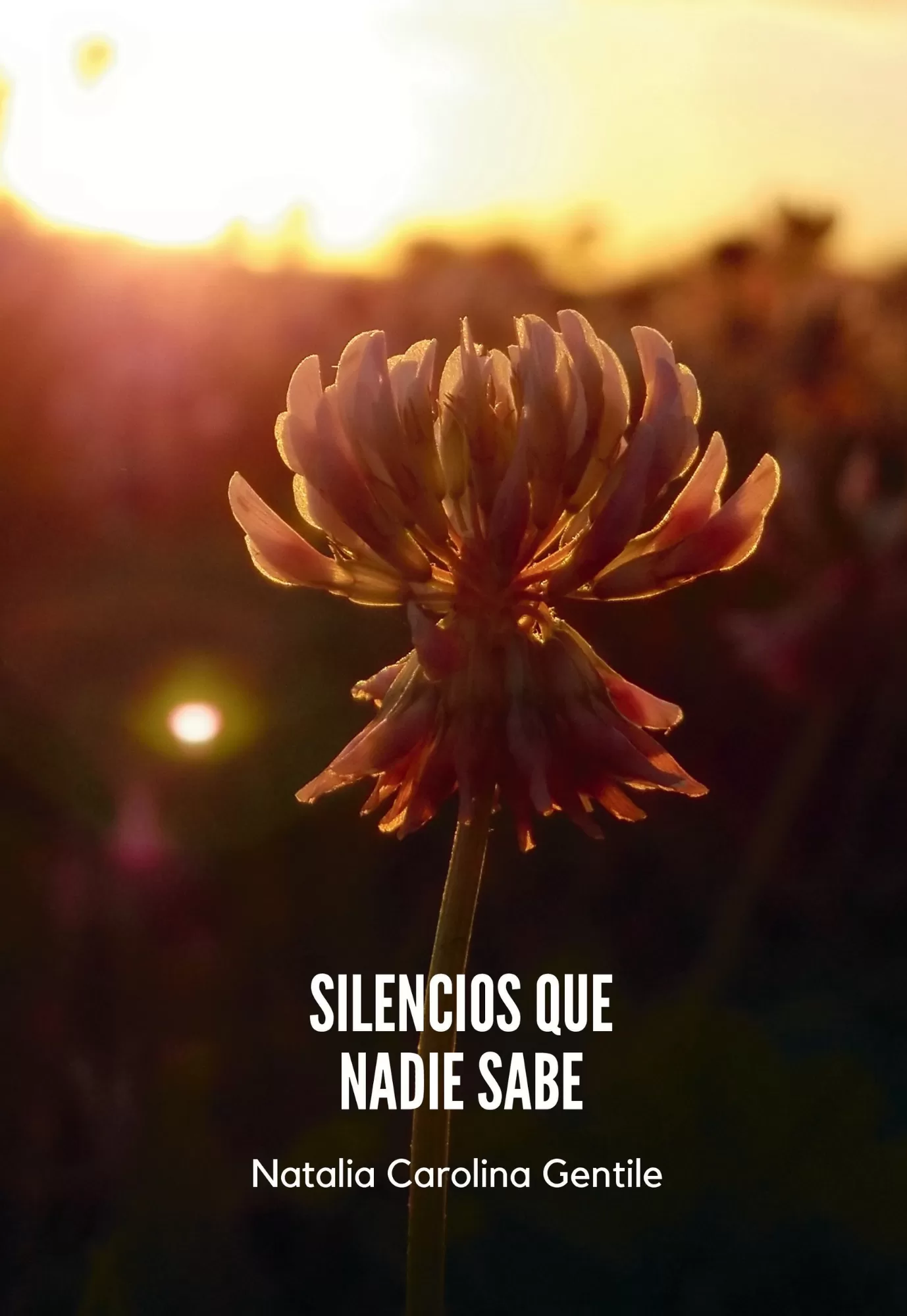 Silencios que nadie sabe